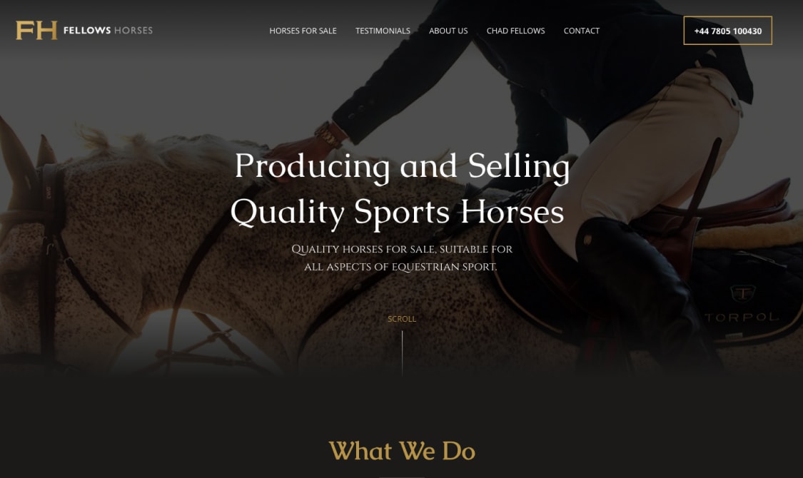 fellow horses procredible web design
